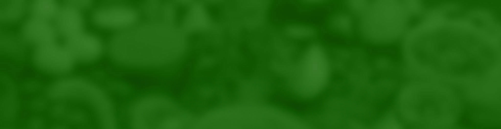 Banner-header